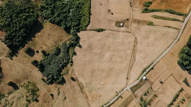 Działka rolna czy budowlana? Jak i kiedy można przekształcić grunt