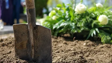 Cmentarz przy Osieckiej ma zostać powiększony. Zaplanowano miejsce dla zwierząt
