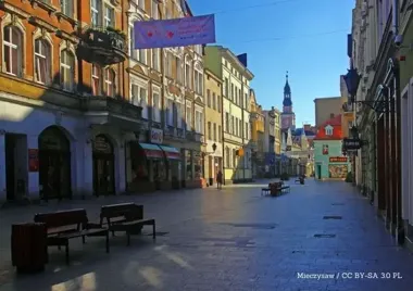 Wznowione prace drogowe w Lesznie – zamknięcia i wycinki drzew