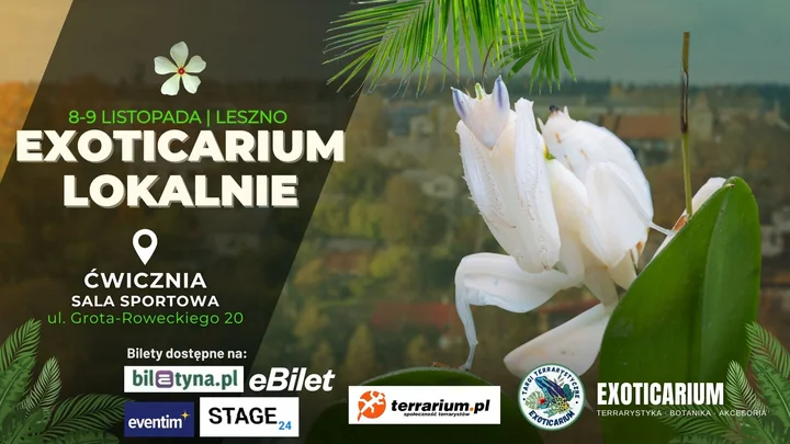 EXOTICARIUM LOKALNIE w Lesznie