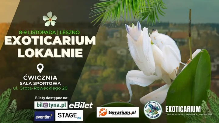 Grafika promocyjna wydarzenia Exoticarium Lokalnie — targi terrarystyczne w Lesznie (8–9 listopada)