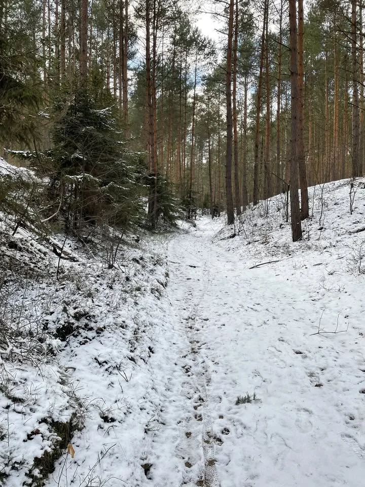 Grafika promocyjna wydarzenia XVI Bieg Górski Leszno–Grzybowo 2026 — zapisy otwarte
