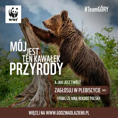 Leszno zgasi ratusz i bibliotekę na znak wsparcia dla Ziemi