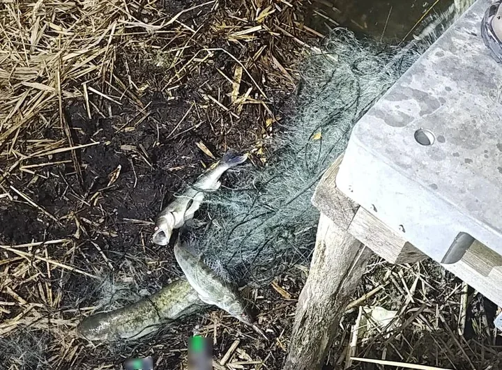 Sieci rozciągnęli przez całe jezioro. Skończyli w policyjnym areszcie