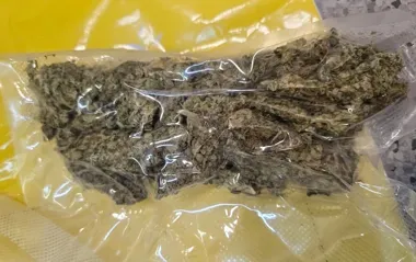 Ponad 4,5 kg narkotyków w Lesznie. Dwóch podejrzanych w areszcie