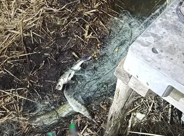 Sieci rozciągnęli przez całe jezioro. Skończyli w policyjnym areszcie